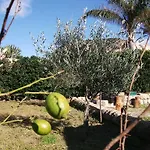 Villa Davima *